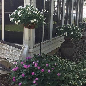 Meet your Posher, Donna